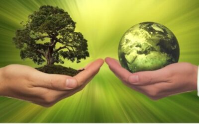 Business Sustainability: People, planet en profit