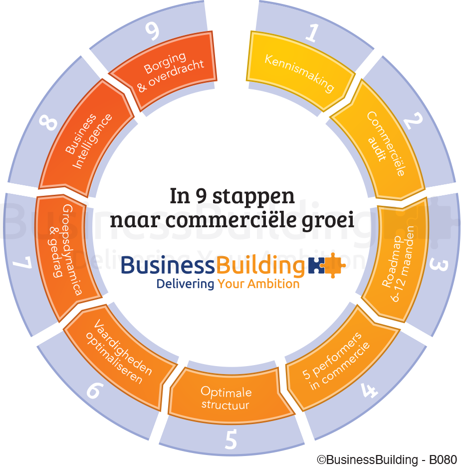 model in 9 stappen naar financiële groei